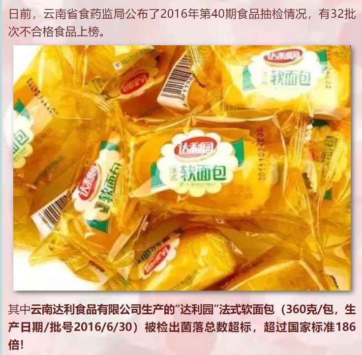 董事长叶跃辉及其儿子在小面包车间现场
